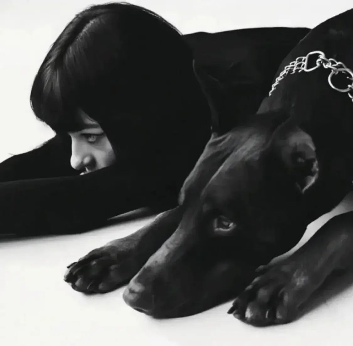 k9犬系 - 2025-11-13 235316