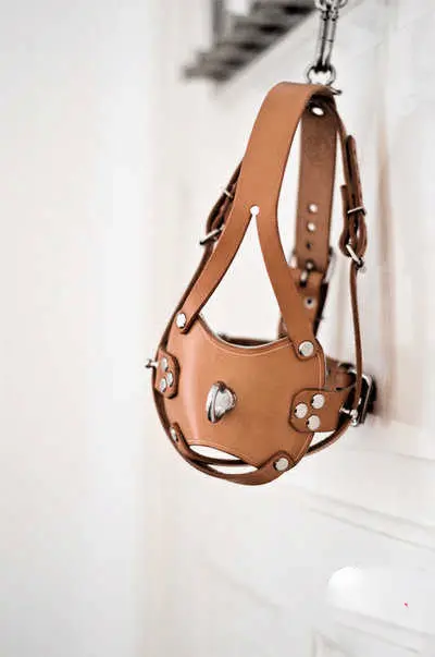 【西檬之家】大圈是什么？BDSM圈层概念与新手入门指南