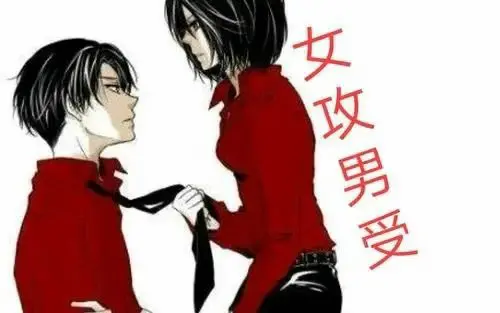 【西檬之家】字母圈Dom是什么意思？新人入门权威指南