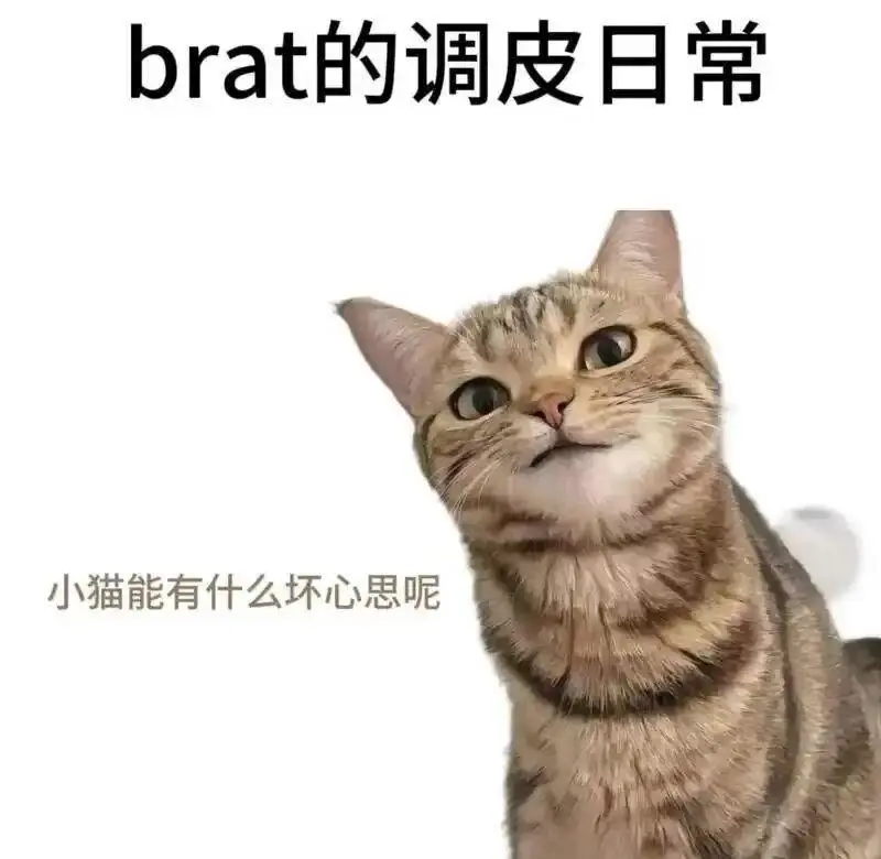 西檬之家-字母圈Spank实践指南