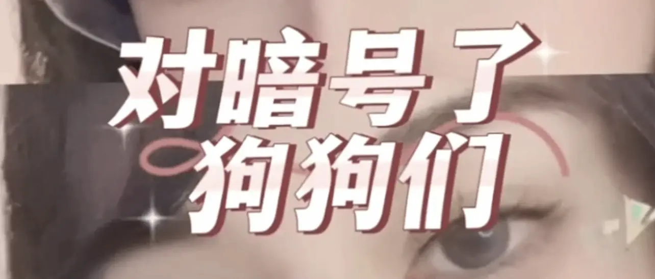 西檬之家-k8猫系在字母圈是什么意思？新人术语指南