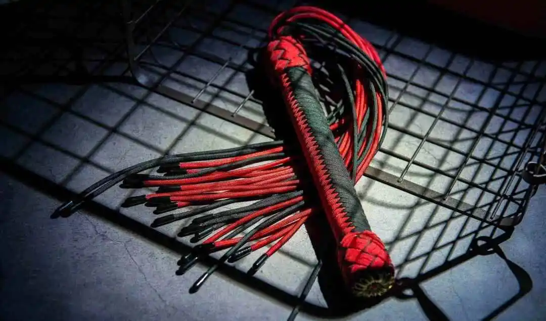 西檬之家-K9是什么？BDSM犬类扮演的新人指南