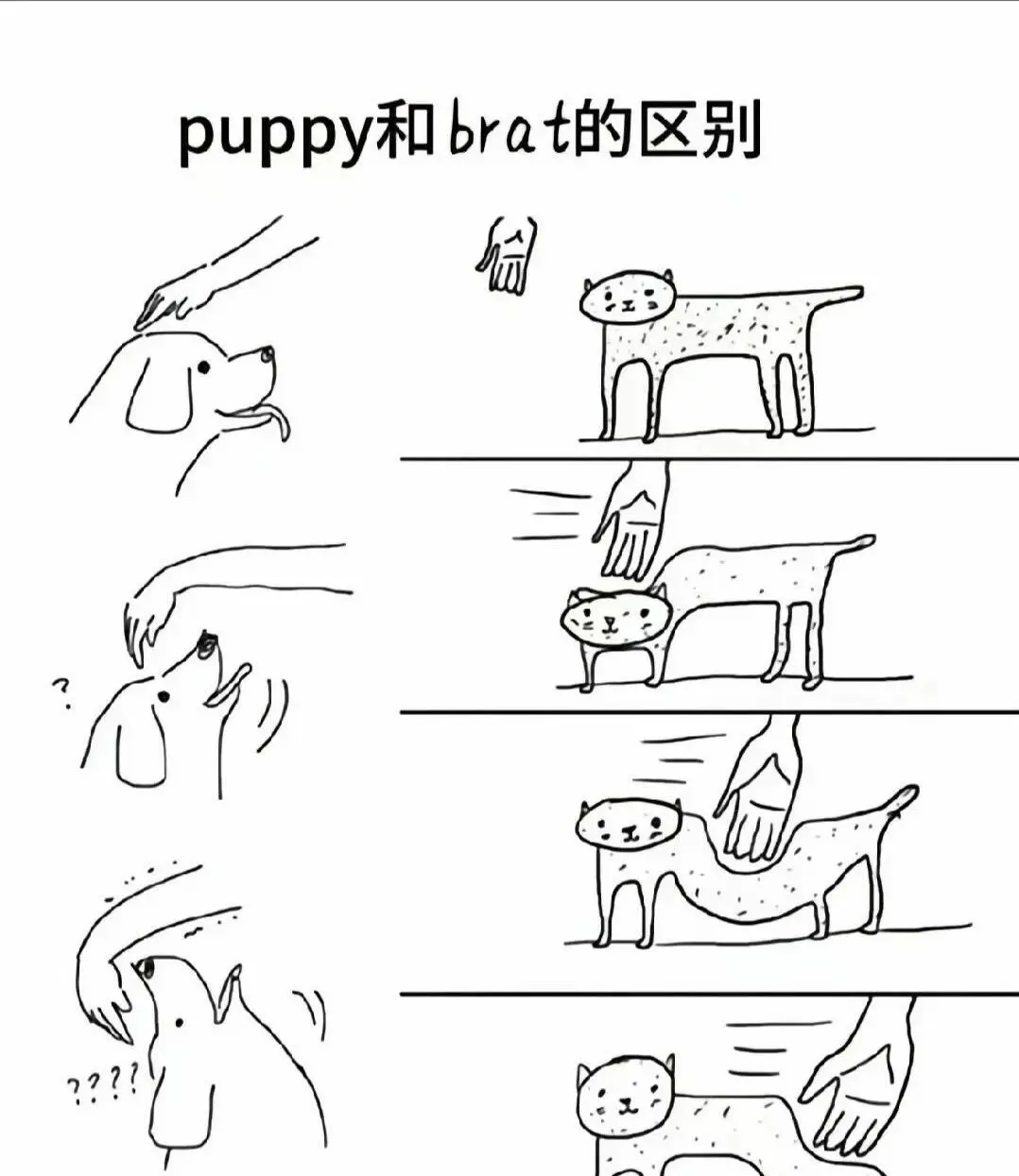 【西檬之家】BDSM亚文化：新人如何理解DS关系与安全原则
