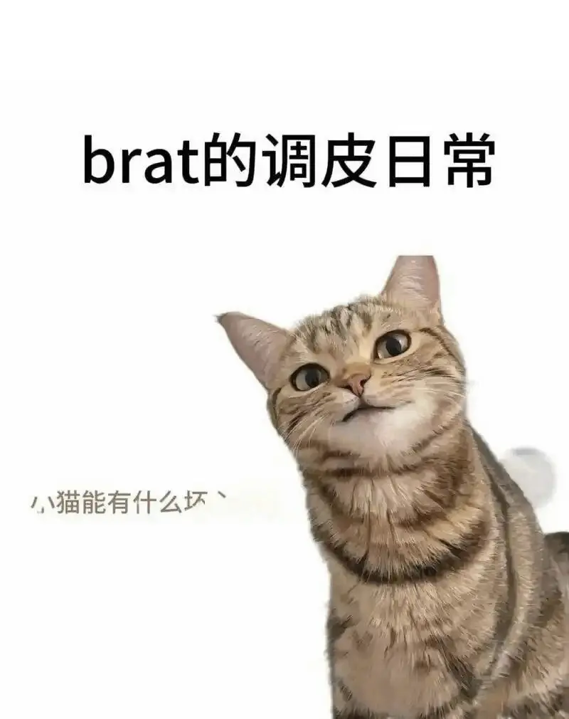 西檬之家-斯慕圈入门指南：BDSM核心术语与原则解析