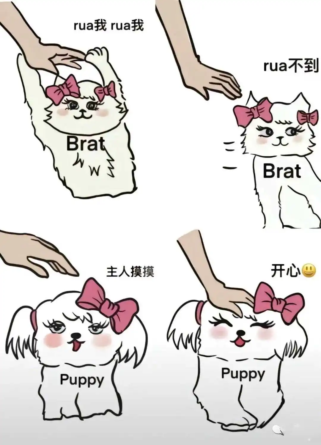 西檬之家：小白入圈的正确方式——从零开始了解字母圈必备术语