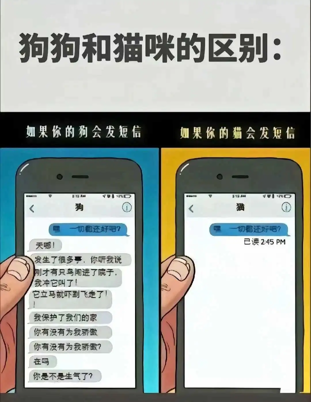 【西檬之家】BDSM字母圈DOM是什么意思？