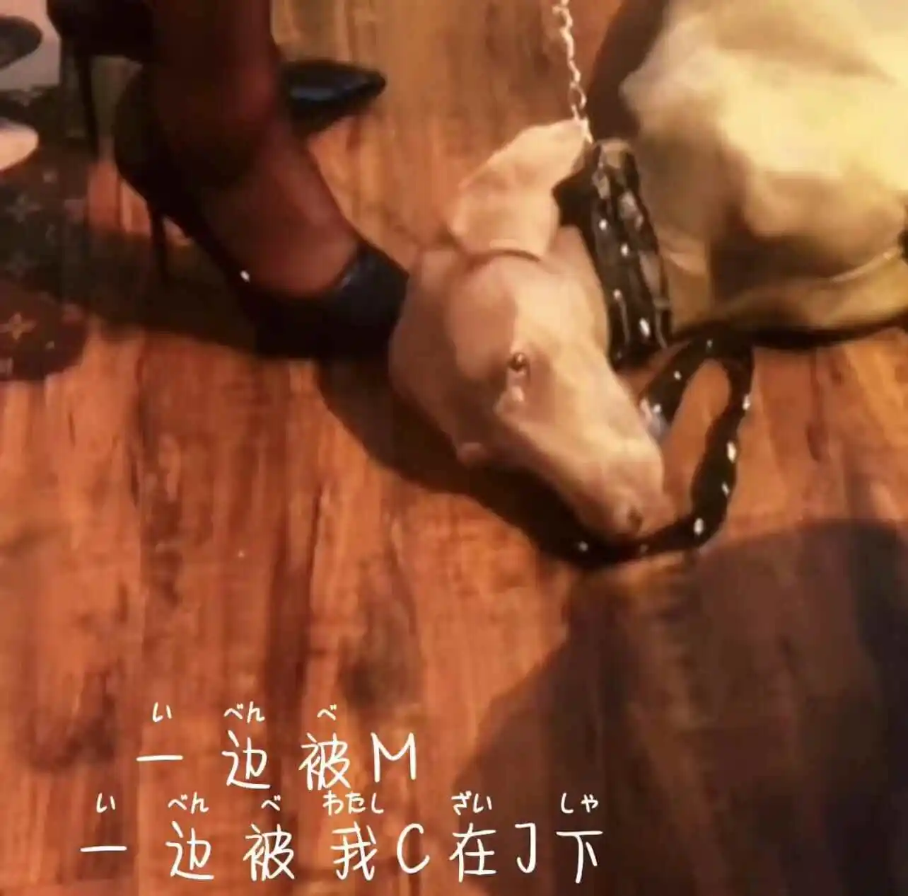 西檬之家-M倾向新人入门指南：从理论到实践的安全探索