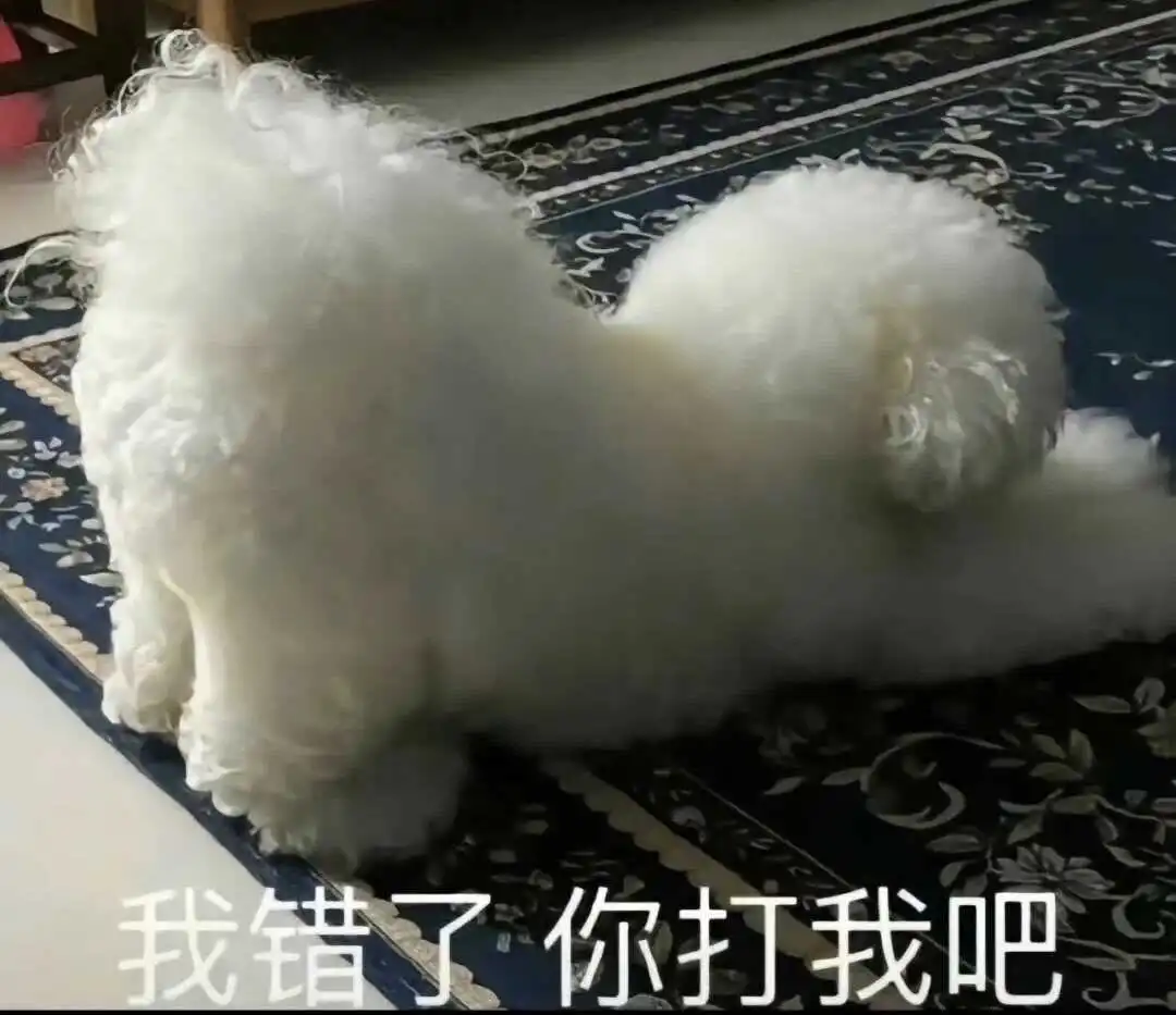 【西檬之家】践踏癖解析：字母圈内的权力与感官边界